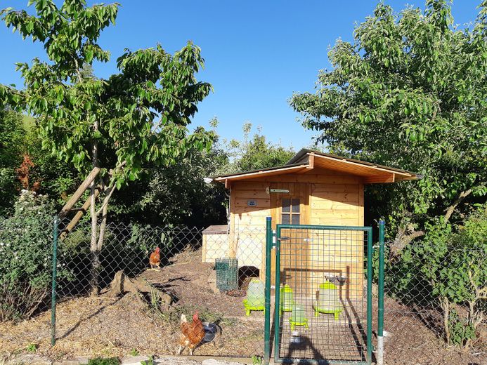 Garten mit Hühnergehege