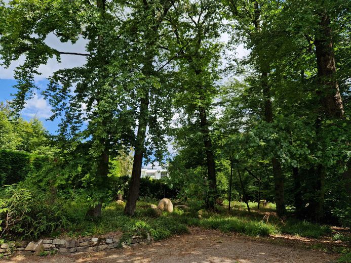 Grundstück Blick Osten
