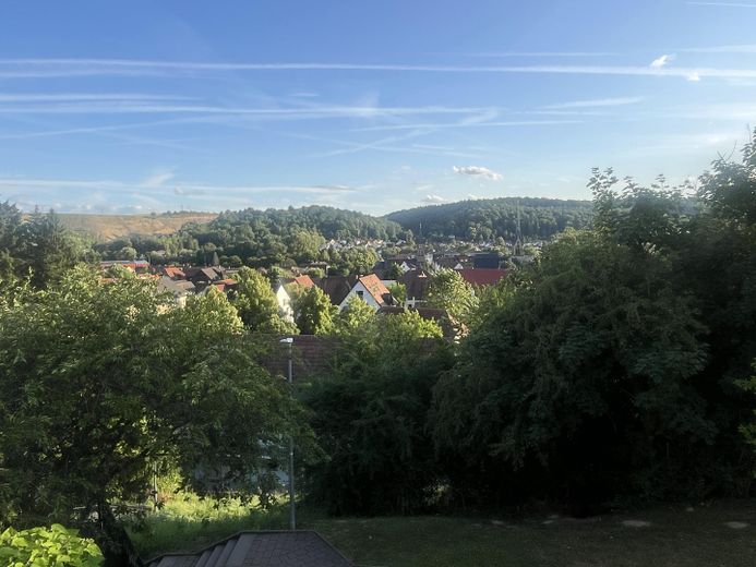 Ausblick vom Balkon 
