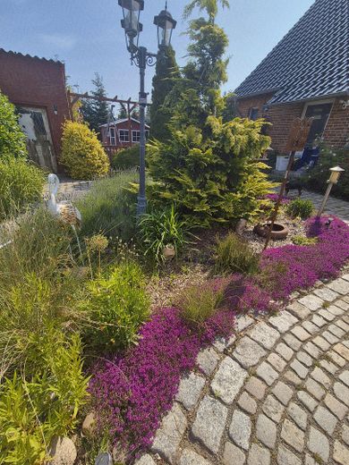 Naturparadies nähe Ludwigslust mit Schwimmteich, Koiteich und Werkstatt für Pendler Hamburg - Berlin – Garten