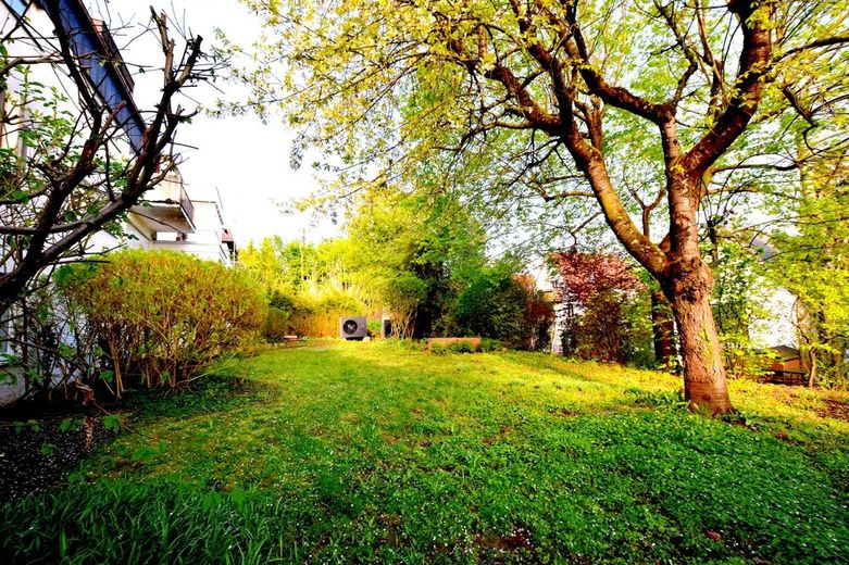 Ihr neues Zuhause am beliebten Killesberg – Gemeinschaftsgarten und neue Wärmepumpen (seit Dez. 2025 in Betrieb)