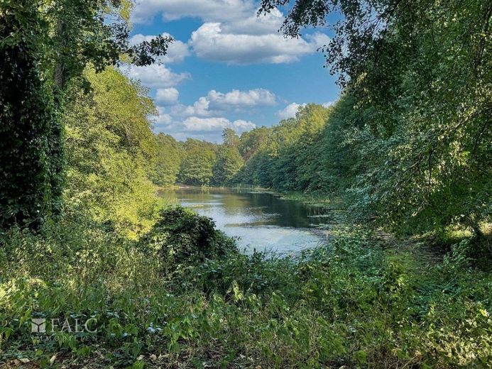 Traumgrundstück in Wilhelmshorst – Auszeit am Waldsee