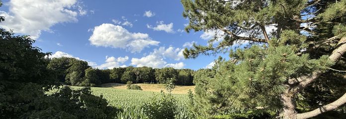 Baugrundstück Starnberg 1(5)