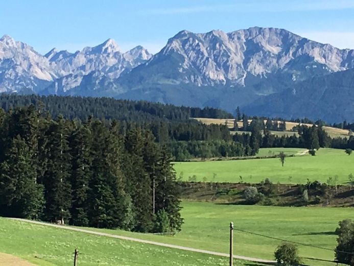 Traumimmobilie für Pferdeliebhaber im Allgäu mit Reithalle und einmaligem Alpenblick – Ausblick Sommer