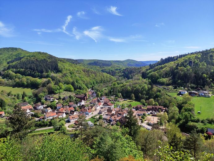 Schönau