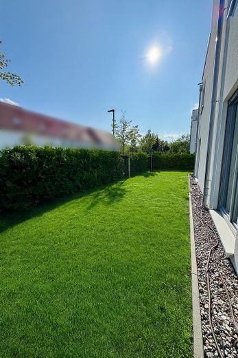Garten mit Zaun und Hecke