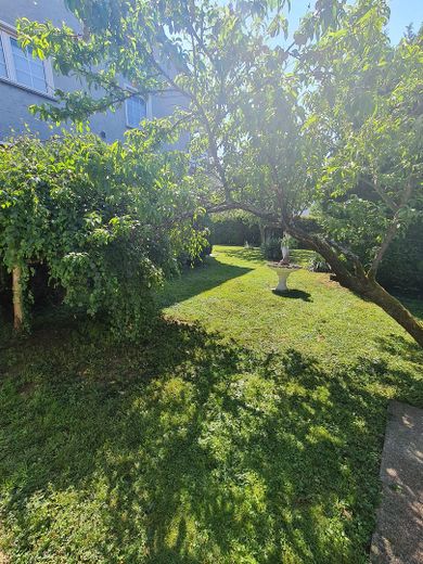Garten hinterer Teil