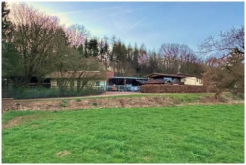 Gestüt in separater Alleinlage