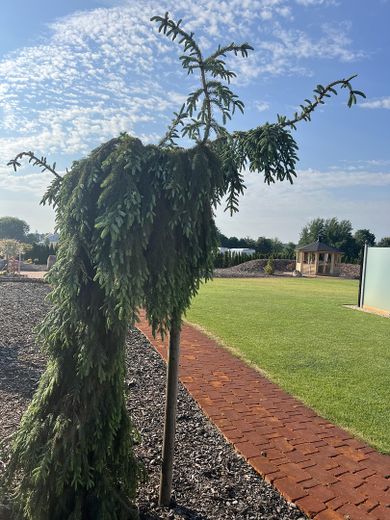 Luxus Stadtvilla mit angelegtem Traum Garten – Foto 24