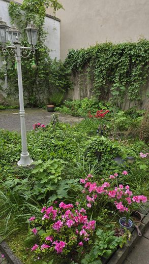 Hof / Garten