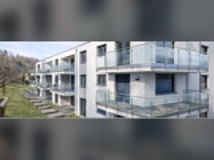 10552-INVESTMENT I Globalverkauf-WOHNQUARTIER 29 ETW ALTENSTEIG – Foto 1