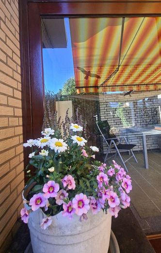 Two-family house – quiet and central with a garden paradise – Terrasse und Wintergarten