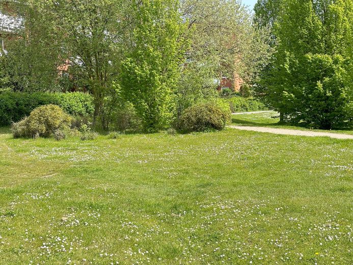 Schicke Wohnung mit Südbalkon Gartenstadt – Öffentlicher Grünstreifen
