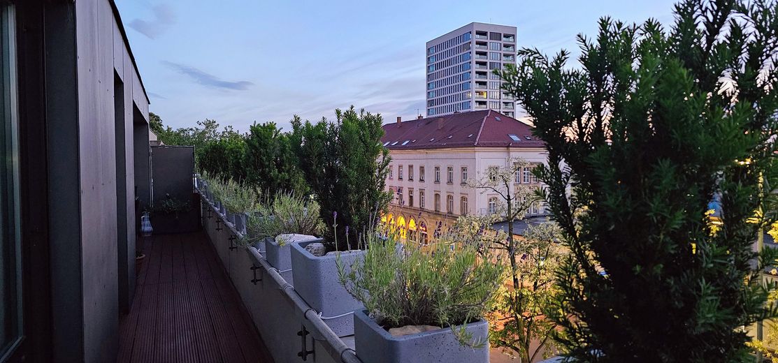 Zentrumsnahe, hochwertige, helle und ruhige 2 Zimmer Penthouse - Wohnung mit Aufzug – Ausblick vom Balkon