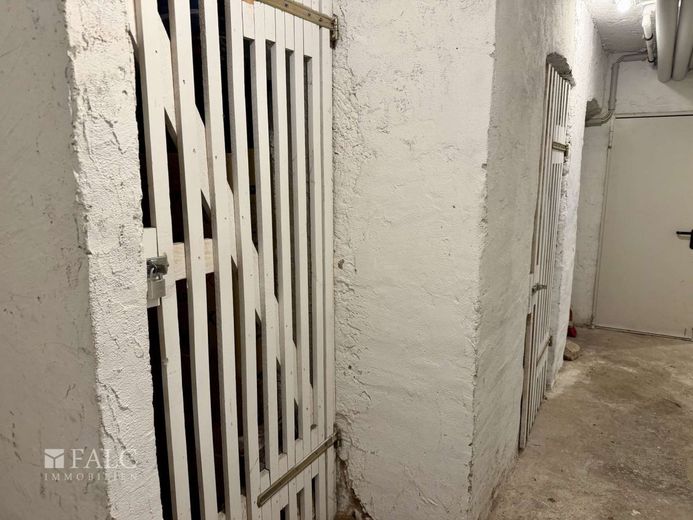 Lichtdurchflutete Altbauwohnung mit Terrasse in einer der begehrtesten Lagen Heidelbergs – Kellerraum