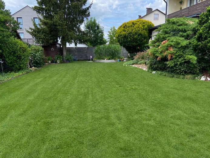 Ben curato appartamento di 3 locali al piano terra con veranda e ampio giardino – Foto 16