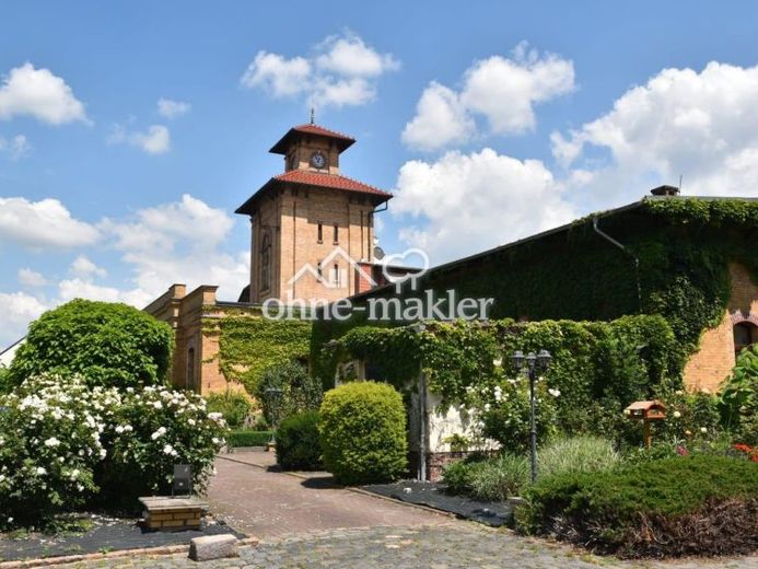 Grünes Leben im Denkmal – Foto 1