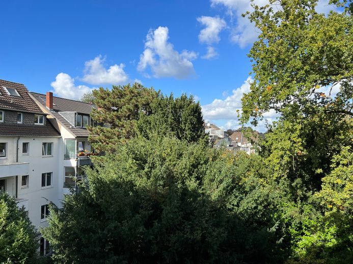 Blick Gartenseite