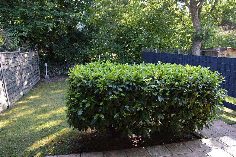 "Attraktives Reihenhaus" in "Weser"-Nähe, ruhige Lage, im schönen "Bremer Norden" – Terrassenblick in den Garten 