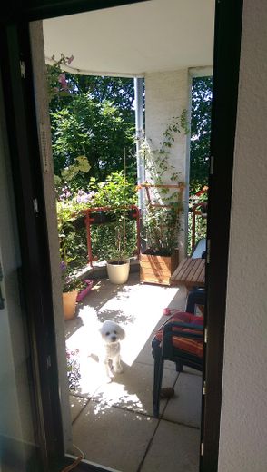 Blick auf den Balkon