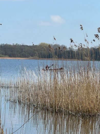 Un piccolo gioiello con vista da sogno e accesso diretto al lago a Timmendorfer Strand - Hemmelsdorf – Foto 14