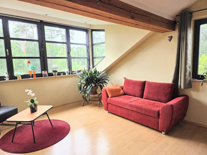 OHNE MAKLER , Provisionsfrei: Idylle am Waldrand in Bleckede mit Kamin und Sauna auf 1100 qm" “ – Foto 24