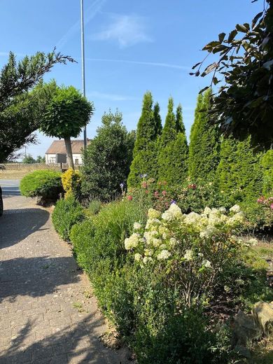Gepflegte 4‑Zimmer‑Doppelhaushälfte | 110 m² | Vollkeller mit Nutzfläche 55 m² | Südterrasse – Garten