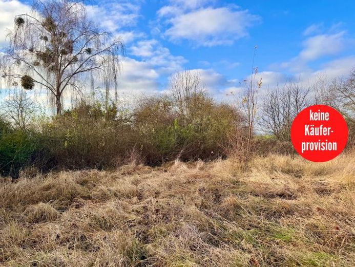 HORN IMMOBILIEN ++ Grundstücke in Penkun zu verkaufen – Foto 1