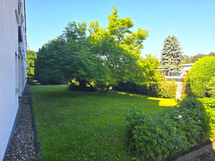 Gartenfläche