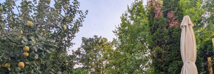 Wunderschöne Maisonette-Wohnung in bester Lage mit Garten - Erbpacht