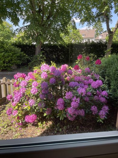 Charmantes Einfamilien-Endreihenhaus mit Garten in stadtnaher und ruhiger Lage – Vorgarten