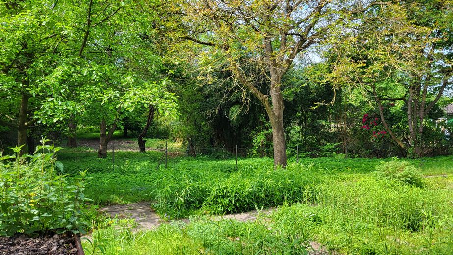 Baugrundstück und Naturgrundst