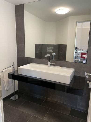 Bau- (Park-) Grundstück mit Tiny House, Carport, Terrassen – Bad mit großer Spiegelwand