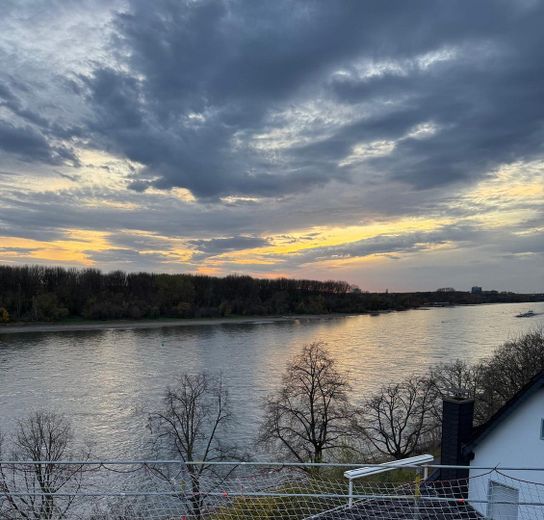 Rheinblick DG rheinabwärts