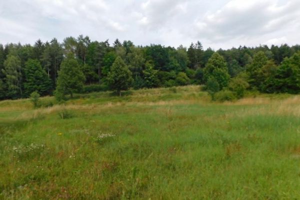 Rittersdorf-Südeifel,nähe Bitburg- vollerschlossenes Baugrundstück