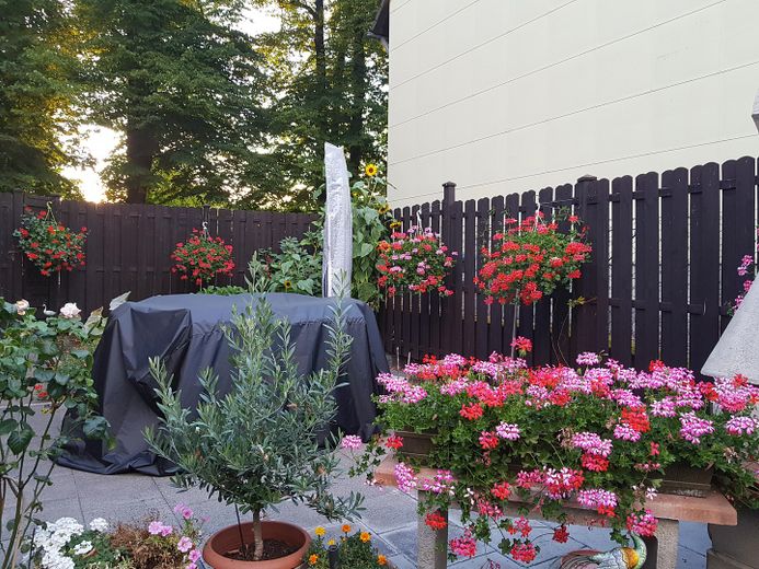 Den Sommer geniessen.....