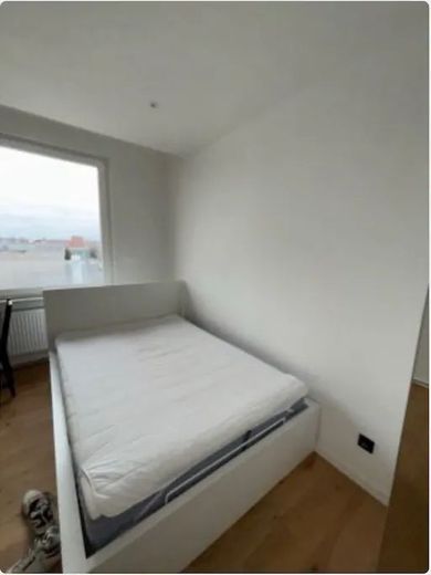 Gemütliches WG-Zimmer in guter Lage - Nürnberg | Pfälzerstraße 56 – Zimmer 2