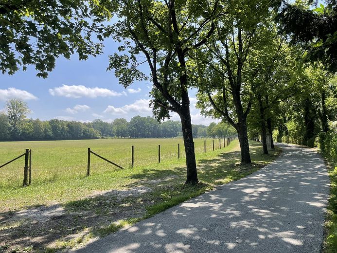 Paradies in Alleinlage – Zufahrt von Süden