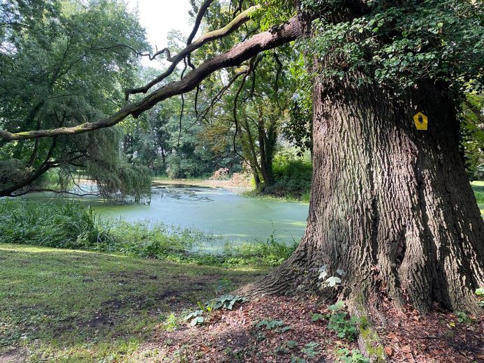 senza provvigione - elegante - a contatto con la natura : gioiello abitativo con infrastruttura perfetta – gepflegter Schlosspark