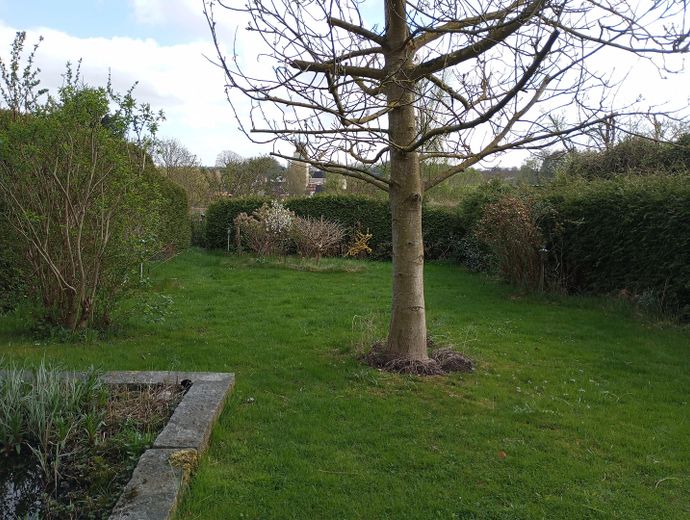 Der Garten