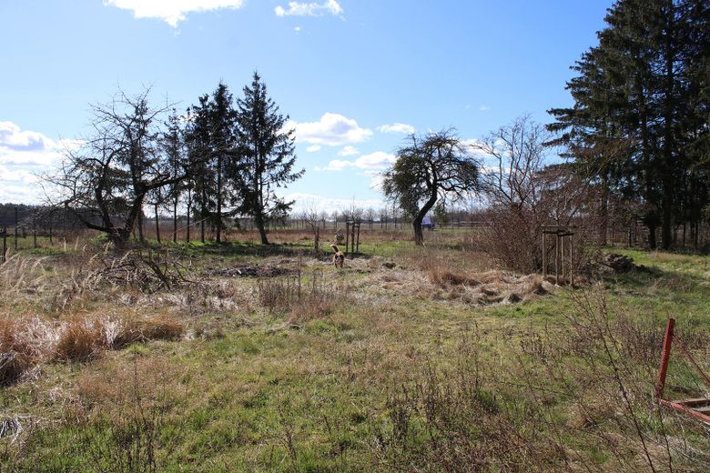 Geschützter Vierseithof mit mehreren Nebengebäuden und weitläufigem Garten – Foto 28