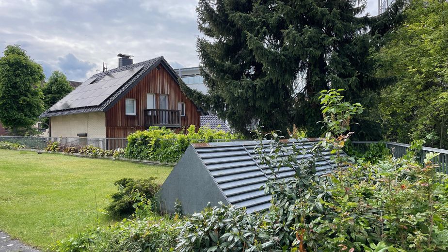 Lichtdurchflutetes Wohlfühl-Zuhause in Braunschweigs Herzen zum Einziehen, Durchatmen und Ankommen – Blick in den Garten