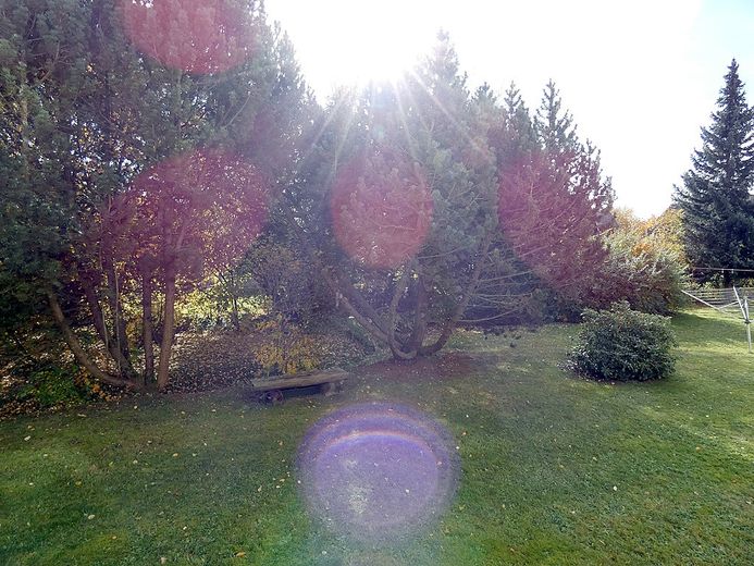 Attraktive und ruhige Wohnung in 95138 Bad Steben. – Blick in Garten