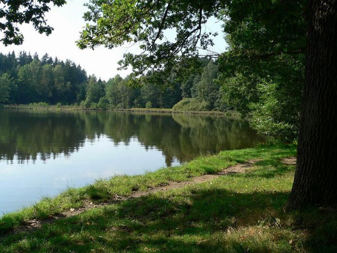 Freistehendes Mehrgenerationenhaus am Ortsrand – 15min Fussweg zum Teich