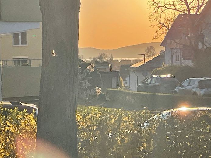 2-Zi.-Wohnung mit TG von Privat – Foto 6