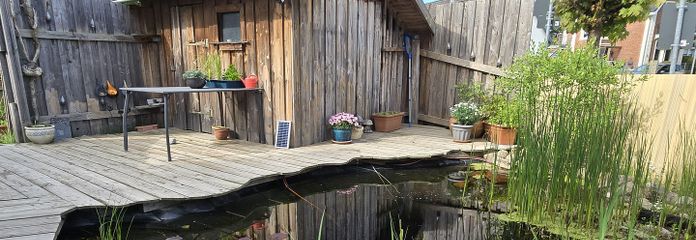 Terrasse, Gartenhaus, Teich