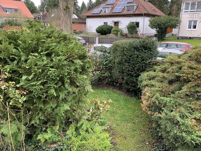 Gartenimpressionen 1