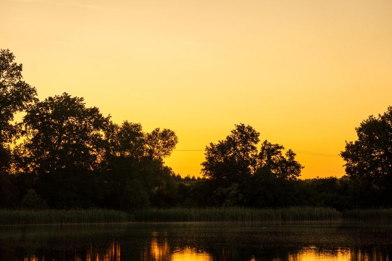 Landhaus unter Reet am See, Gästewohnung, Stallungen, Weiden und Wald. – Sonnenuntergang am See