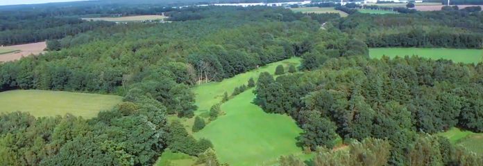 #PRIX IMBATTABLE#IMMENSE TERRAIN BOISÉ#RÉGION DE LANDE+3 MAISONS OFFERTES EN PLUS#VOIR TEXTE – NATUR - IDYLLE - PUR