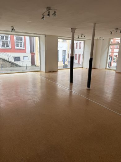 Landesgartenschau 1 Million Gäste , Laden an Fußgängerzone + Marktplatz, Präsentation zur LGS! – Foto 3